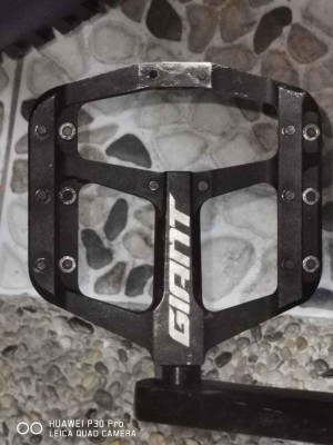 flat pedal. giant