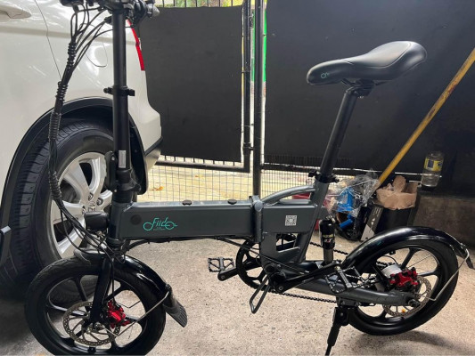 Fiido D2s electric folding bike