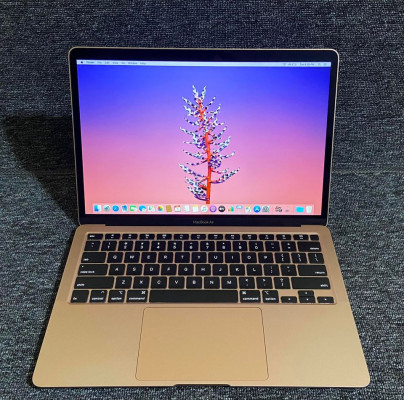 MacBook Air (Retina, 13-inch, 2020)