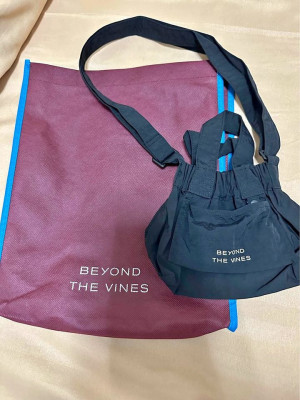 Beyond The Vines Micro Dumpling Bag (Black)