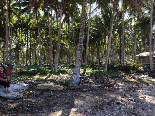 4.6 HECTARES MATI BEACHFRONT PROPERTY FOR SALE‼️ PLUS ROAD RIGHT OF WAY