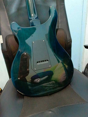 PRS S2 Custom 24 2015