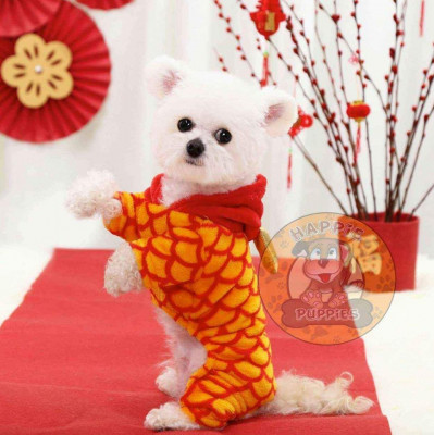 Chinese New Year Dragon Pet Hoodie Dog Cat Clothes Costume CNY Dress Tee Shirt