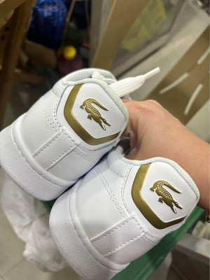 Brandnew lacoste