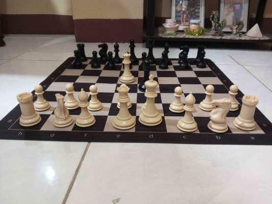 Premium Staunton Chess Set