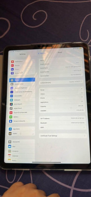 Ipad Air 4 256GB Icloud