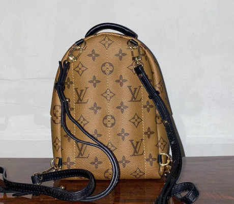 Louis Vuitton Palm Spring Mini Backpack/Sling Reverse Monogram