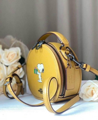 Coach x peanuts crossbody bag
