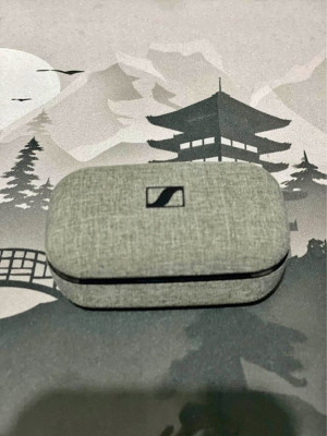 Sennheiser Momentum True Wireless