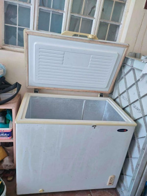 Fujidenzo freezer for sale