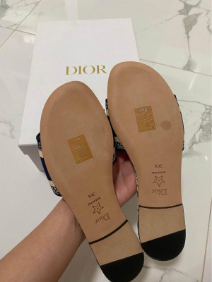 Dior Dway Slides