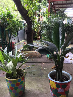 House and lot for sale