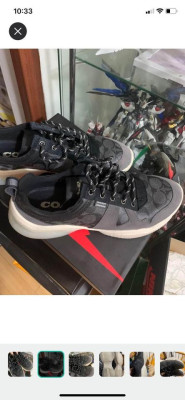 Coach Men shoes