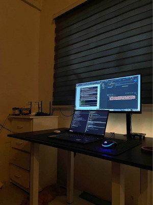 LG 29” UltraWide Monitor