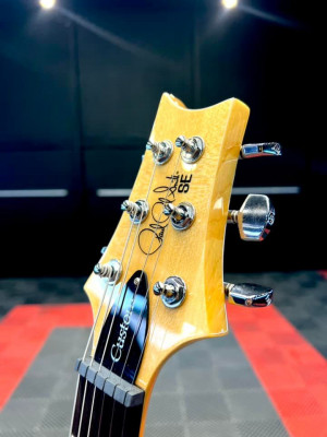 Prs se custom 24 eriza verde