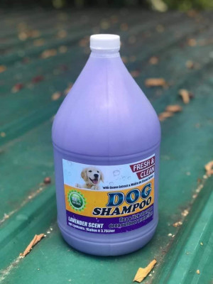 DOG SHAMPOO