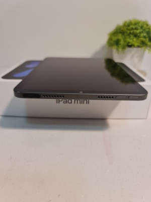 iPad Mini 6th Gen WiFi (64GB)