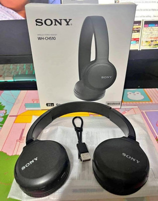 Sony (WH-CH510)