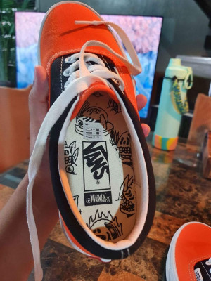 Original and Brand New VANS