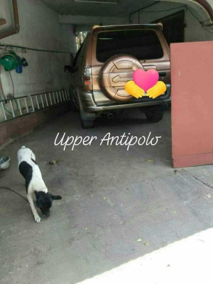 house and lot for sale