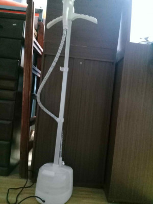 Steamer Iron