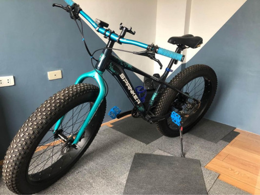 FAT BIKE charles spanker