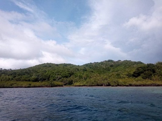 Island property for sale