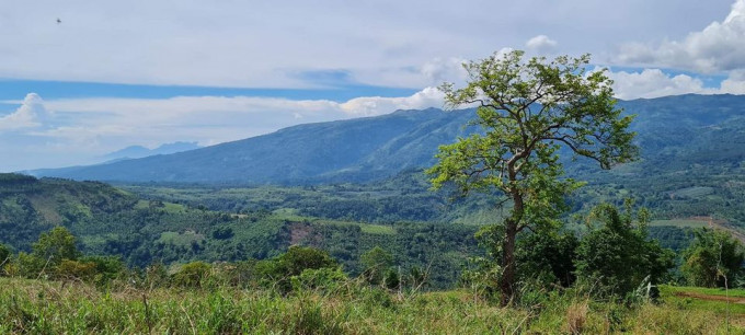 Madaguing Farm Lot