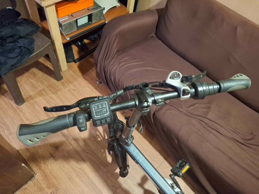 Fiido d2s folding electric bike