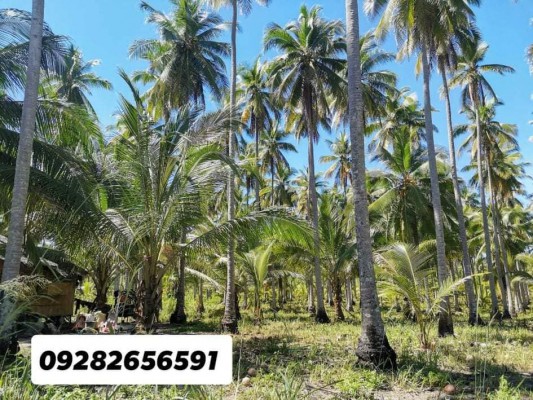 Prime Lot in Dahican