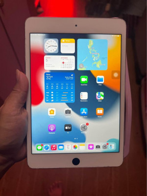 IPad mini 4 16gb wifi only