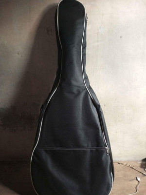 Davis Acoustic guitar w/pickup