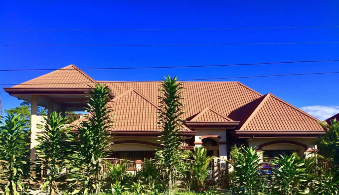 Big House and Lot for sale