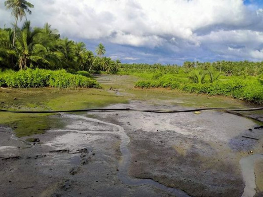 Lot - Macalelon, Quezon Province