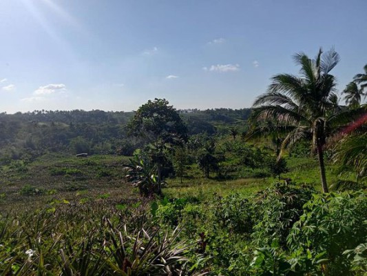 Lot - Tagaytay City, Cavite