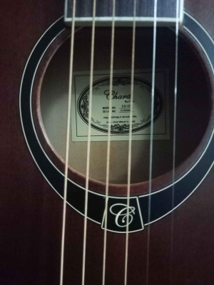 Acoustic Guitar Chard With fishman pickup