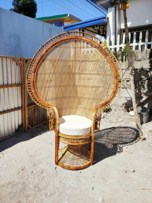 Rattan Peacock Chair