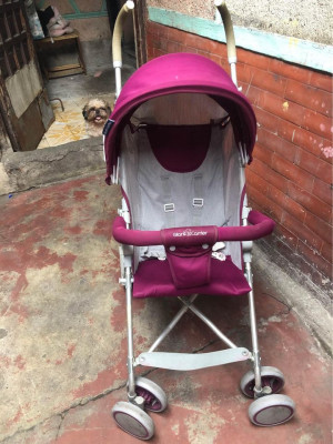 Giant Carrier Stroller