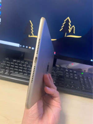 IPad Mini 4 Gold