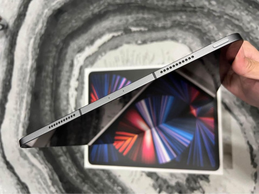 iPad Pro Wi-Fi + Cellular (256GB)