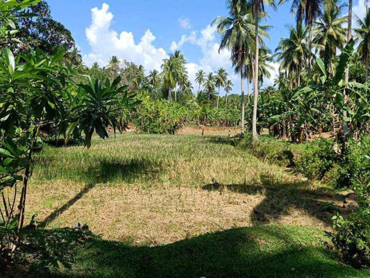 Land for sale