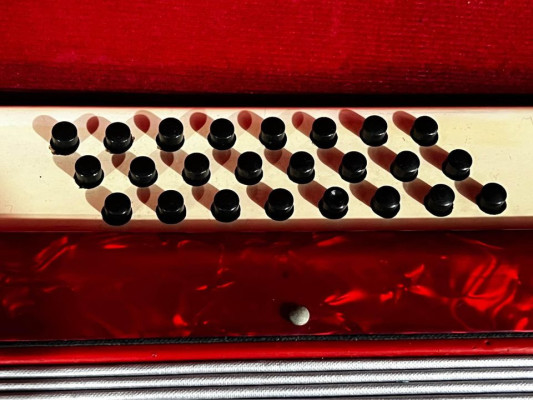 Vintage Saechang Accordion