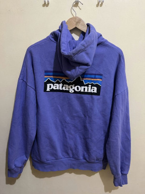 Patagonia Backhit Hoodie in Lavender