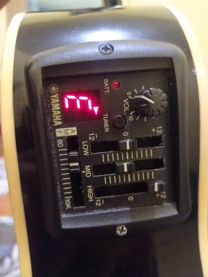 Yamaha APX 500 - Authentic/Original