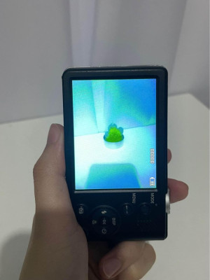 Samsung PL210 digicam