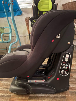 Giant Carrier Car Seat