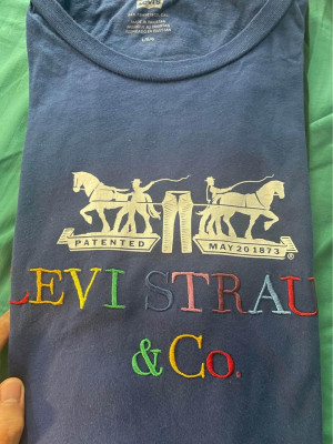 Levi’s Embroidered Tee
