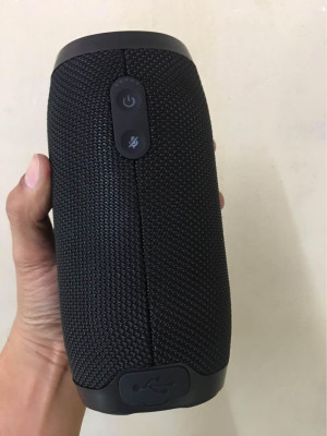 original proton USA tsw wireless speaker