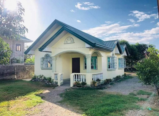 House and lot For Sale! (Along Brgy road near Vigan City town proper)