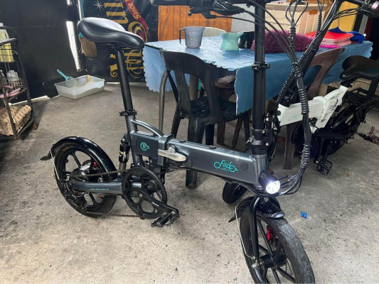 Fiido D2s electric folding bike